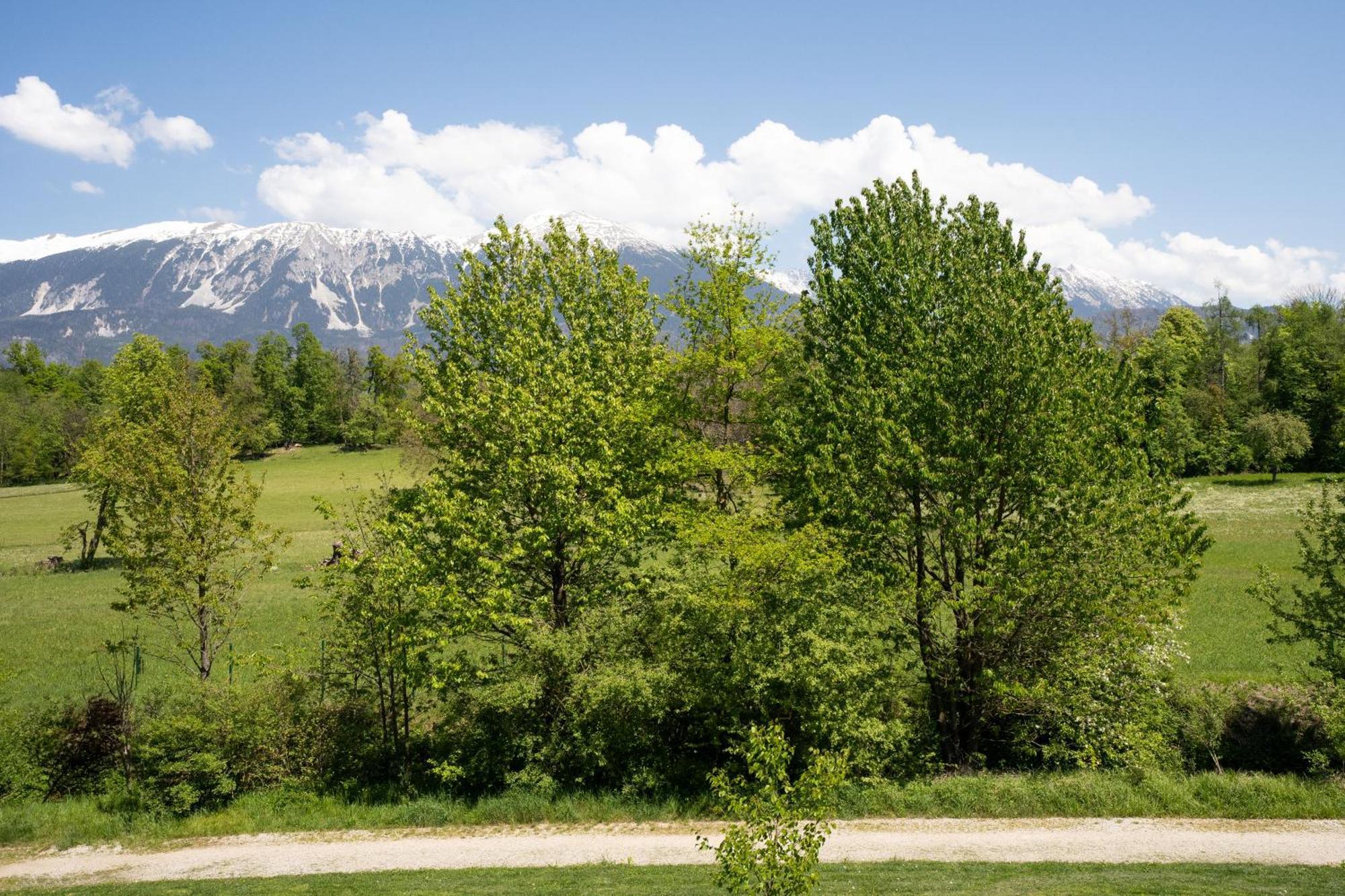 Mountain Suite Jula Bled Luaran gambar